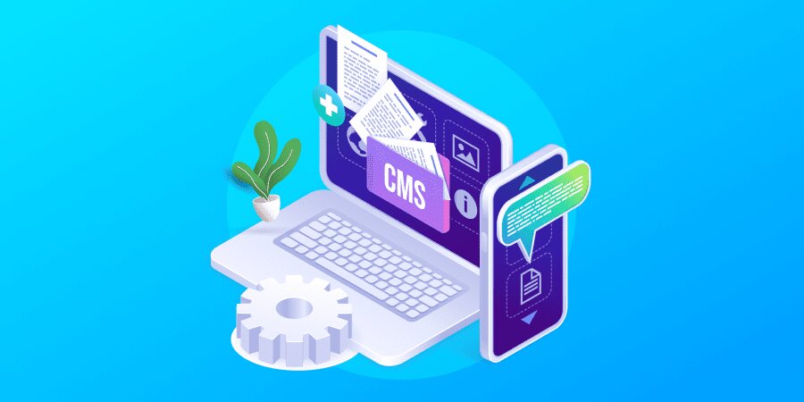 CMS Development Agency in Chennai