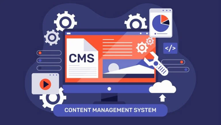 CMS Development Company In Chennai